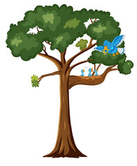 Wall Mural - Blue bird and chicks on the tree