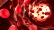 © Science RF - Red blood cells flowing through capillary, illustration