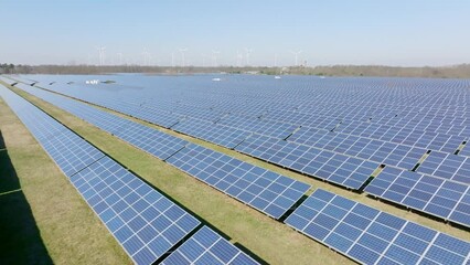 Wall Mural - Solarpanels in southern of Brandenburg. Drone move forward