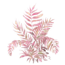 Autumn Pastel Pink Tone Palm Leaves Watercolor Hand Painting Illustration