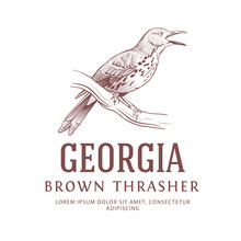 Vintage Logo With Bird. Brown Thrasher State Bird Symbol Of Georgia