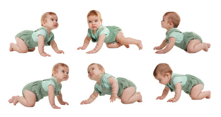 Sticker - Collage with photos cute little baby crawling on white background. Banner design