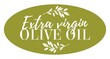extra virgin olive oil icon vector illustration. Elegant Logo template with olive branch - simple linear style