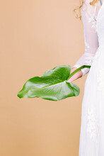 Anonymous Bride With Green Leaf
