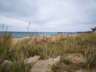 Closeup of grass with a sea in the background