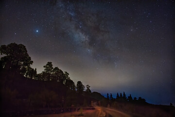 Canvas Print - Beautiful view of the Milky Way Galaxy above a hill with trees at night in Gran Canaria