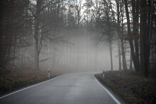 Foggy Scenery Of Road Through The Forest