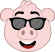 Vector illustration of the face of a cartoon pig with sunglasses