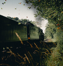 Locomotive With A Steam Engine On The Railway In The Dense Forest