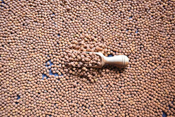 Wall Mural - Raw whole dried brown chickpeas