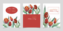 Mother Day Watercolor Card Set. Greeting Mom Minimal Postcard Design.  Wedding Spring Tulip Flowers Invitation Card, Floral Pink Vector Frame. Watercolor Template Botanical Save The Date