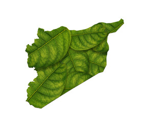 Poster - 3D render of a Syria map made of green leaves on white isolated background