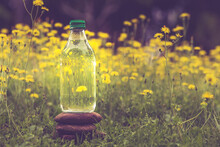 Glass Bottle With Water In Selective Focus On Stacked Stones. Clean Drinking Water In Glass Bottle In Nature Concept With Vintage Color Toning. Drought, Famine, Abundance; Basic Need Concept.