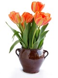 Fototapeta Tulipany - pretty multicolor tulips posy at spring close up