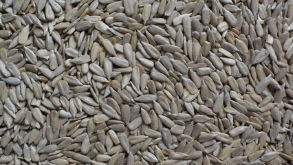 Wall Mural - Raw whole dried hulled sunflower seeds