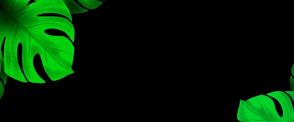 Wall Mural - illustration of a person in a green background