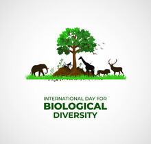 International Day For Biological Diversity. Template For Background, Banner, Card, Poster. Vector Illustration.