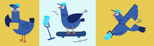 Media Pigeon. Carrier Pigeon Character. Email Concept Delivery Of Mail And Letters. Vector Illustration, Bird On A Skateboard. 