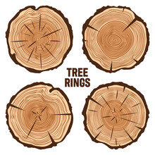Round Tree Trunk Cuts With Cracks, Sawn Pine Or Oak Slices, Lumber. Saw Cut Timber, Wood. Brown Wooden Texture With Tree Rings. Hand Drawn Sketch. Vector Illustration