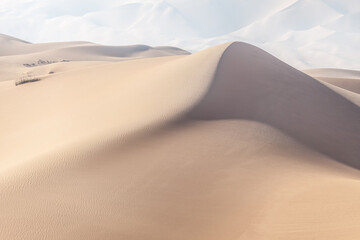 Foggy morning at the desert in United Arab Emirates. Sand dunes muted in color.