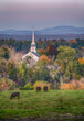 Autumn scene of New England church in sunrise with cows in the foreground