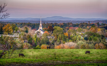 Autumn Scene Of New England Church In Sunrise With Cows In The Foreground