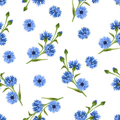 Wall Mural - vector seamless floral pattern with blue cornflowers on a white background