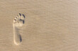 One barefoot print in the sand pointing up on the left side.