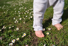 Bare Feet Of A Little Boy On The Grass In Spring. Wellness For Health Practicing Grounding Or Earthing