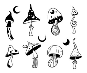 Wall Mural - mystical celestial mushrooms isolated clip art bundle, magic line mushrooms on white, witchy amanita