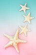 © marilyn barbone - Starfish seashell creative background on pastel pink and blue. Abstract minimal summer heavenly composition. Flat lay, top view, copy space.