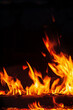 © darkbird - Energy red flames of bonfire in the night