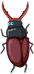 Sticker - A beetle cartoon character isolated