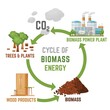 Biomass energy vertical poster with useful infographics. Vector illustration