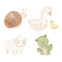 Watercolor Snail, Goose, Sheep, Frog. Illustration For Kids