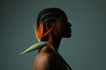 Wall Mural - Close-up portrait of African young woman with paradise flower posing indoor. 