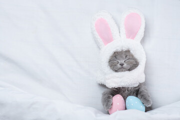 Aufkleber - Funny kitten wearing easter rabbits ears sleeps with painted eggs on a bed under warm white blanket at home. Top down view. Empty space for text