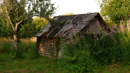 Wall Mural - Beautiful rustic summer landscape. Old wooden log houses. Vologda region