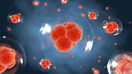 3D rendering ，Cell division process