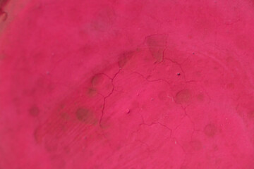 Wall Mural - Close-up macro shot of beautiful vibrant watercolour pallete with plenty of texture and details