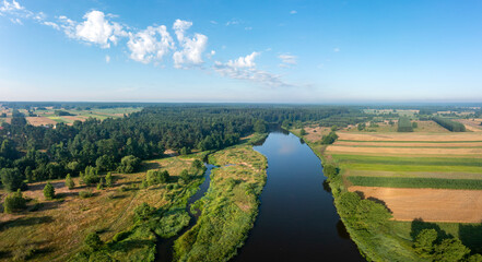 Wall Mural - aerial view of natural river during summer