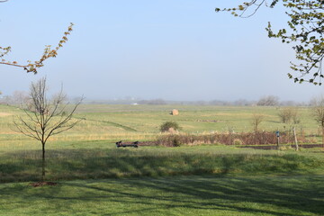 Sticker - Farm Field with a Garden Plot