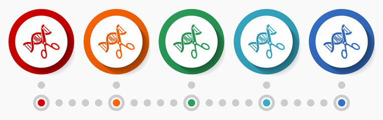 Poster - Dna, biotechnology concept vector icon set, infographic template, flat design colorful web buttons in 5 color options