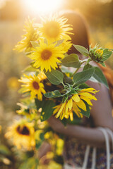 Wall Mural - Beautiful woman holding sunflowers bouquet close up in warm sunset light in summer meadow. Tranquil atmospheric moment in countryside. Stylish female with sunflowers in evening field