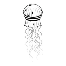 Abstract Black Simple Line Jellyfish Doodle Outline Element Vector Design Style Sketch Isolated On White Background Illustration Nature Ocean WIldlife