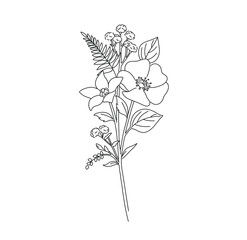 Wall Mural - Vector isolated small pretty bouquet boutonniere with gypsophila and ferd and flowers colorless black and white contour line graphic drawing