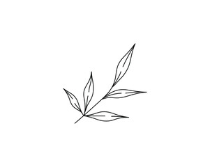 Wall Mural - Vector isolated single twig branch with five leaves colorless black and white contour line drawing