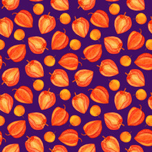 Physalis Watercolor Seamless Pattern Isolated On Purple Background. Golden Berry Hand Drawn Illustration. Cape Gooseberries For Print Design, Kitchen Supplies, Wrapping Paper, Fabric