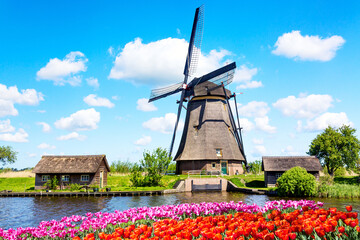 Wall Mural - Colorful spring landscape in Netherlands, Europe. Famous windmill in Kinderdijk village with a tulips flowers flowerbed in Holland. Famous tourist attraction in Holland