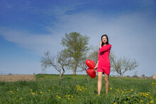 A Girl In A Red Dress And With Balloons In The Form Of A Heart On A Flowering Meadow With Dandelions.
